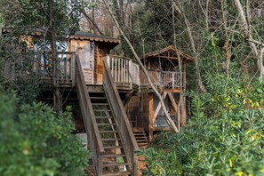 Family Tree House, 2 Bedrooms (King Louie & Mowgli) | Terrace/patio