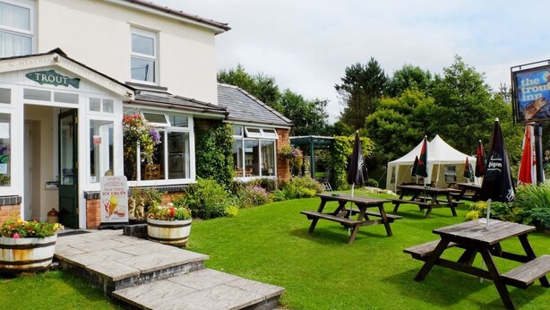 A garden with picnic tables and a building with a sign reading "Trout". - The Trout Cafe (Llanwrtyd Wells)