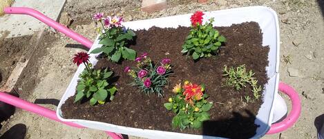 Un carrito de jardinería con interior blanco y mangos rosa, lleno de plantas y flores diversas.