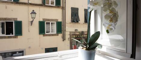 Blick von der Unterkunft