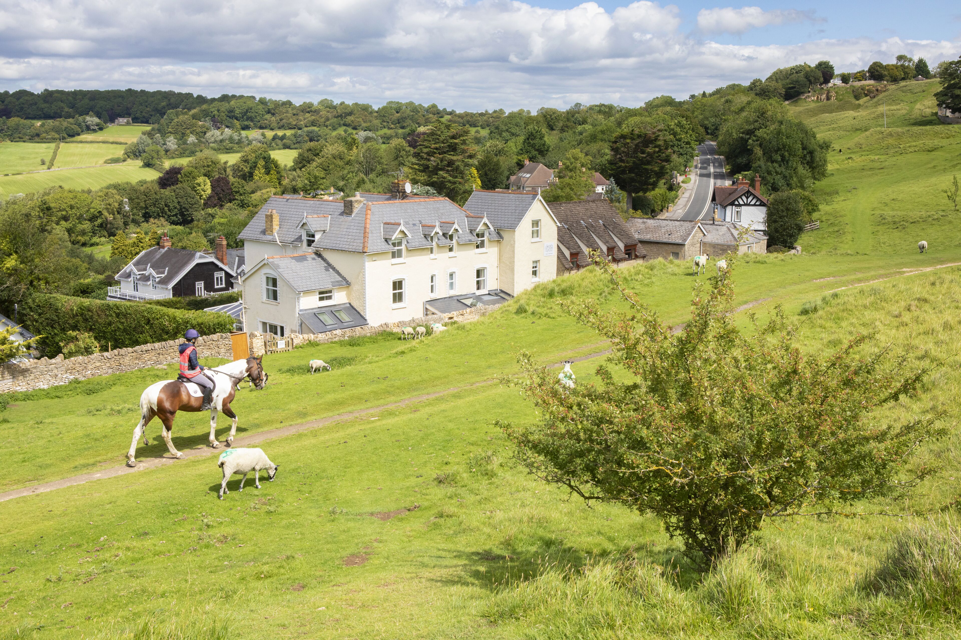 A rural landscape with a large house, a horse, and a sheep.