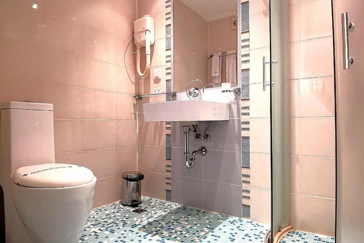 shower, free toiletries, hair dryer, towels