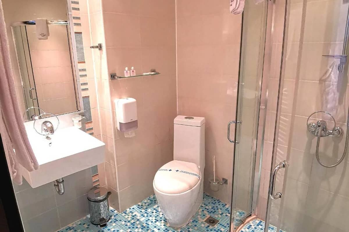 shower, free toiletries, hair dryer, towels