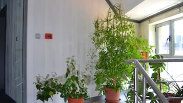 门厅
