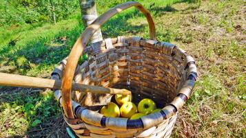 Een gevlochten mand met appels en een houten handvat.