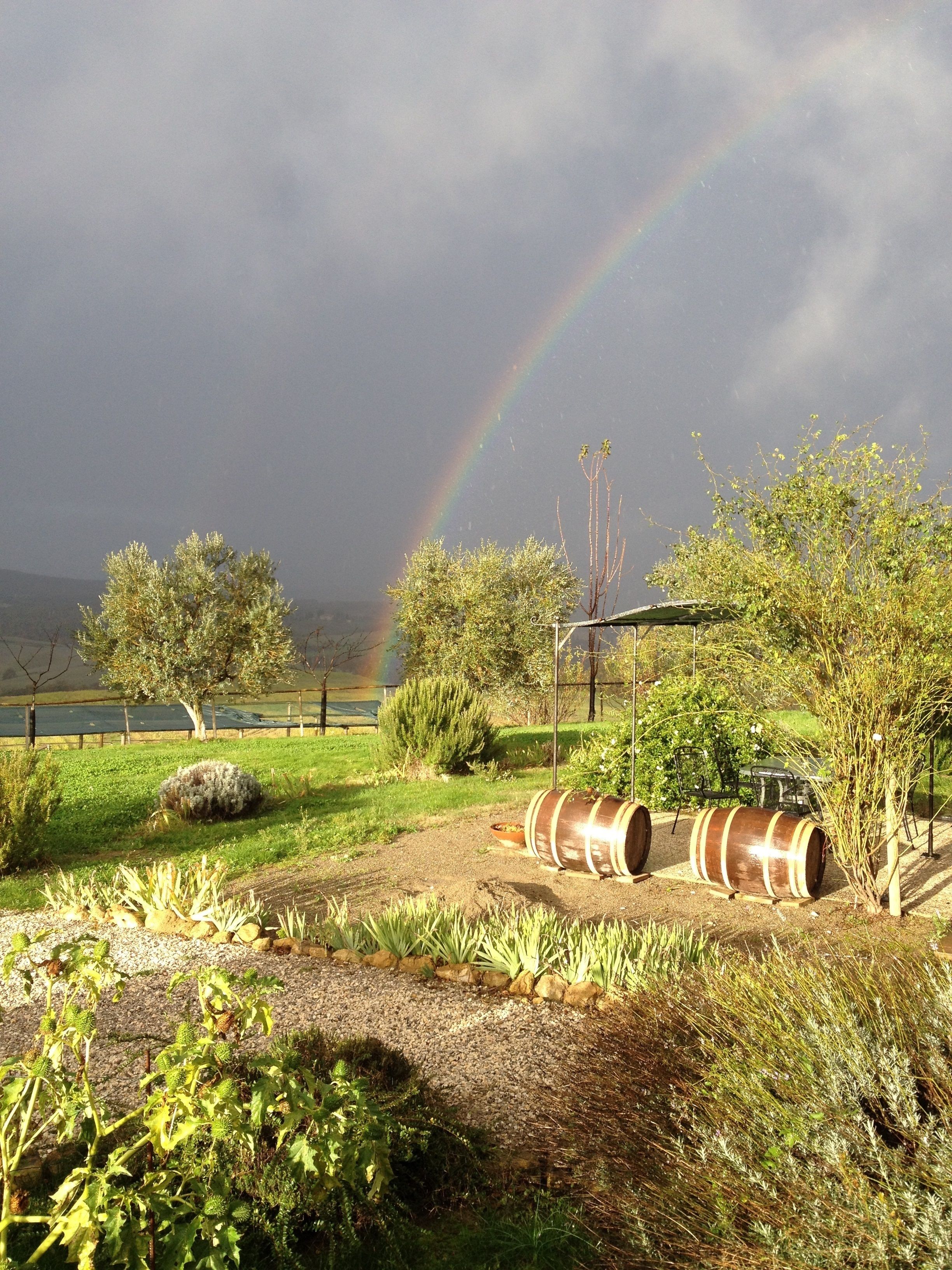 A garden with a rainbow, trees, and two barrels.