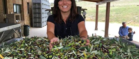 Una donna maneggia olive e rami d'ulivo in un'area esterna coperta, con un muro in mattoni e un uomo sullo sfondo.