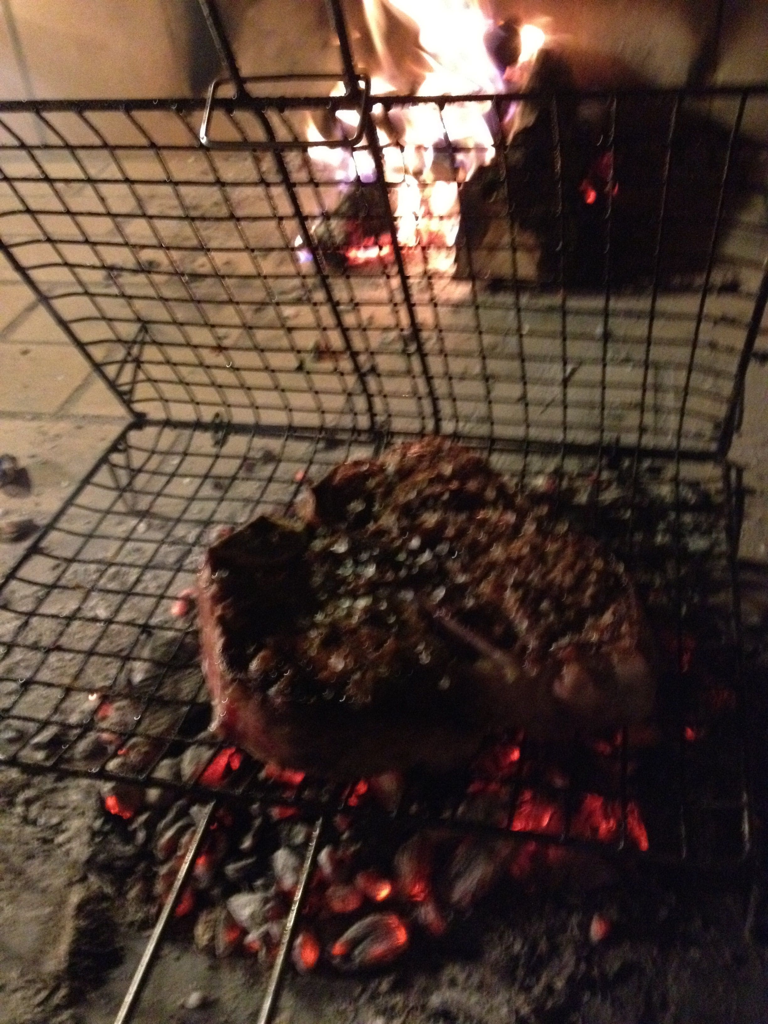 烤肉/野餐區