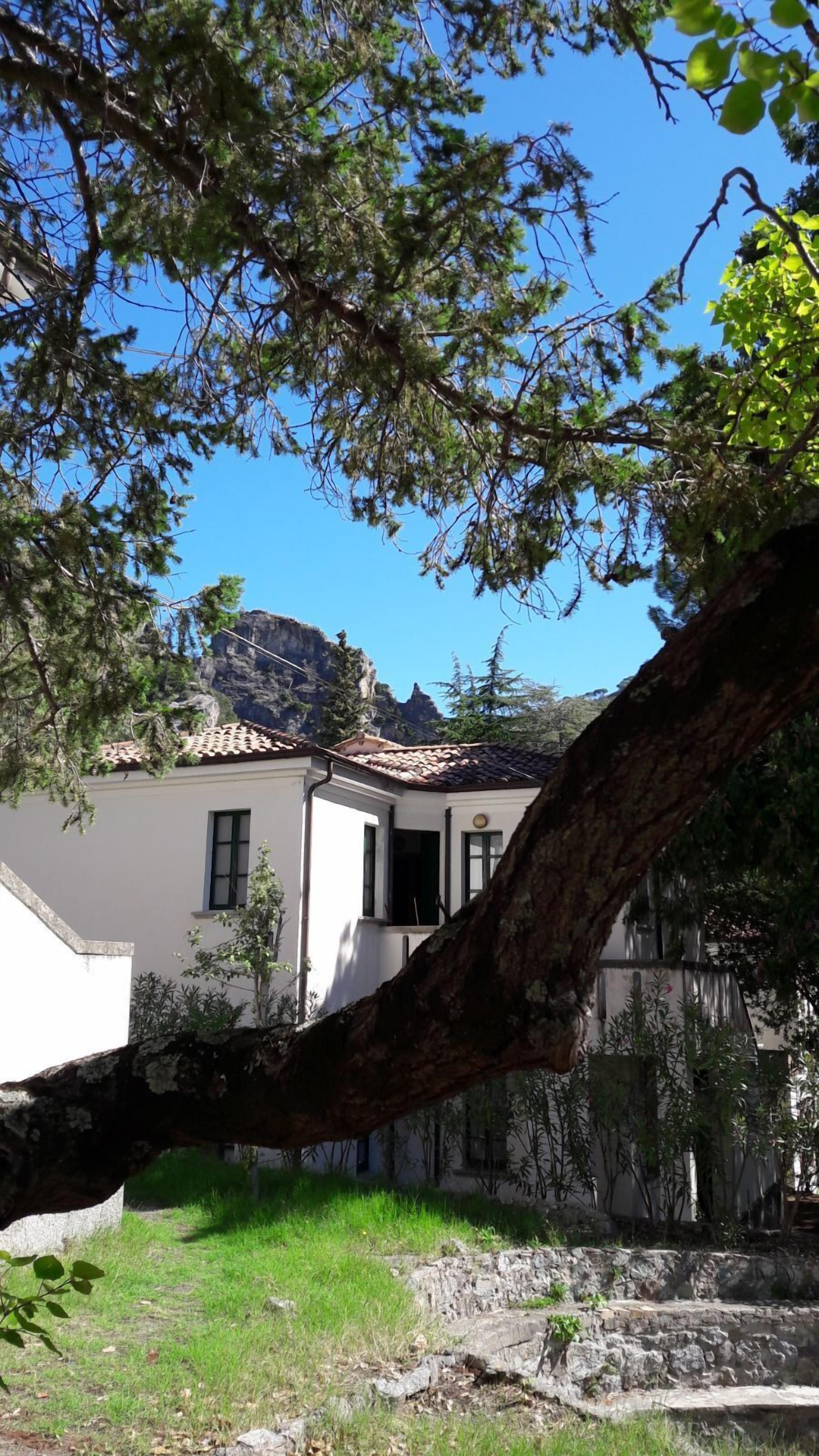 Ein Gebäude mit Ziegeldach, Steinwand und einem Baum im Vordergrund.