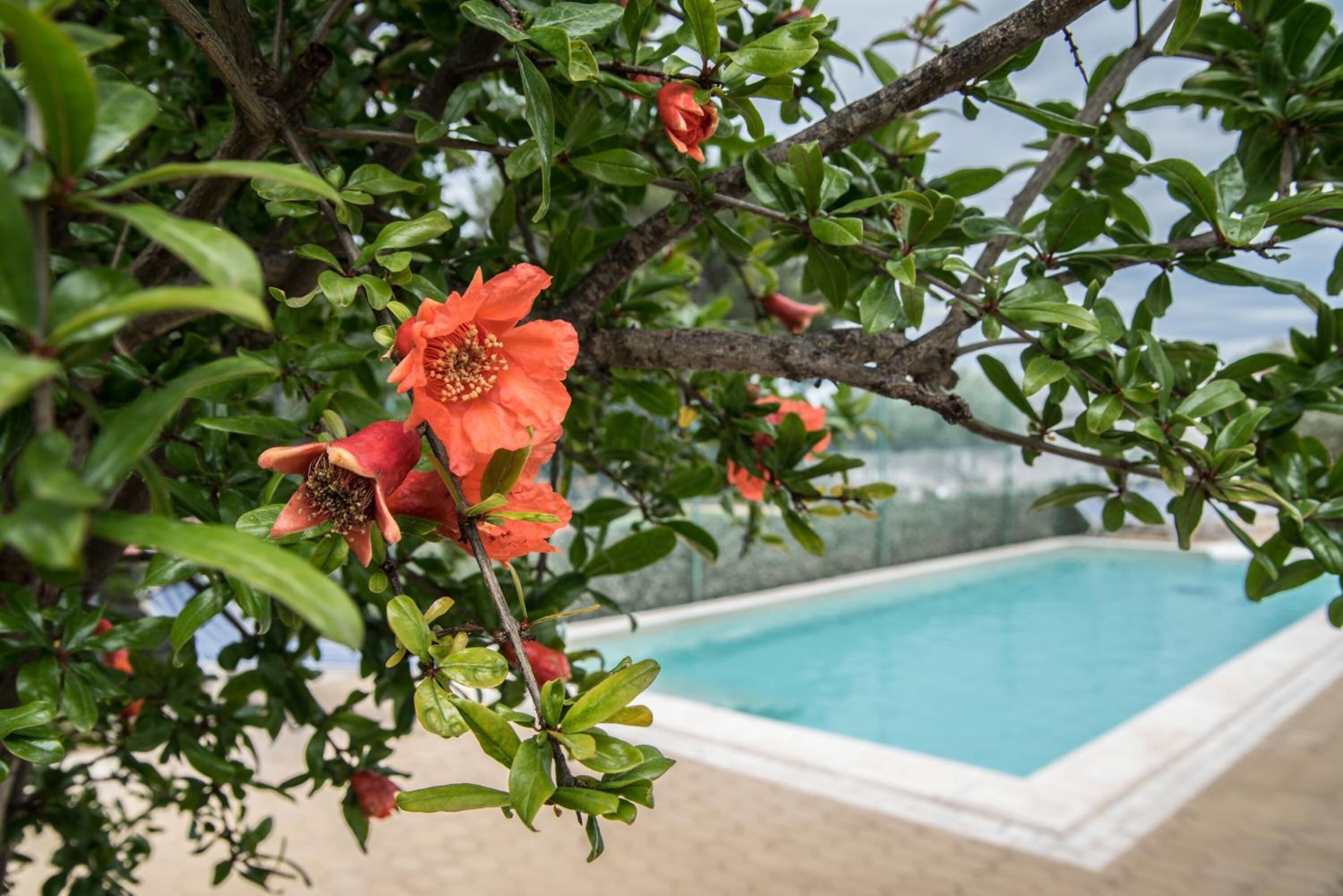 Foto - Villa Lara