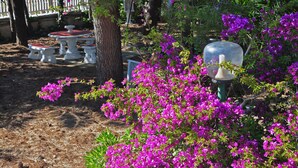 Un jardín con un pabellón blanco, una mesa con bancos y flores moradas vibrantes.
