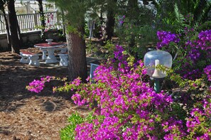 Exterior detail - Villa Lara (Polignano a Mare)