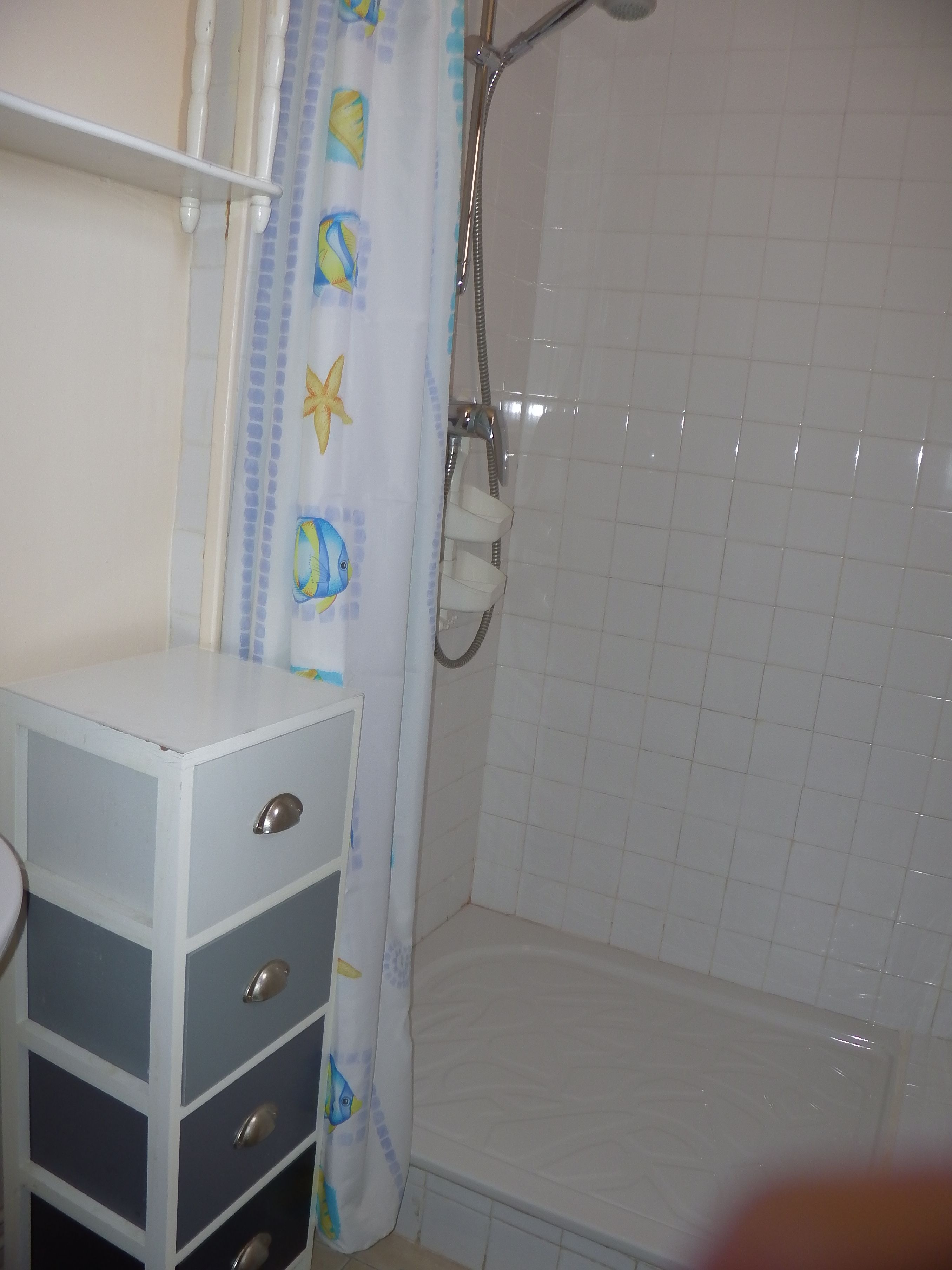 double room | bathroom shower