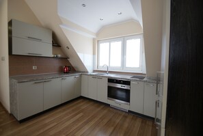 Apartment | Eigene Kochnische | Kühlschrank, Ofen, Herdplatte, Wasserkocher