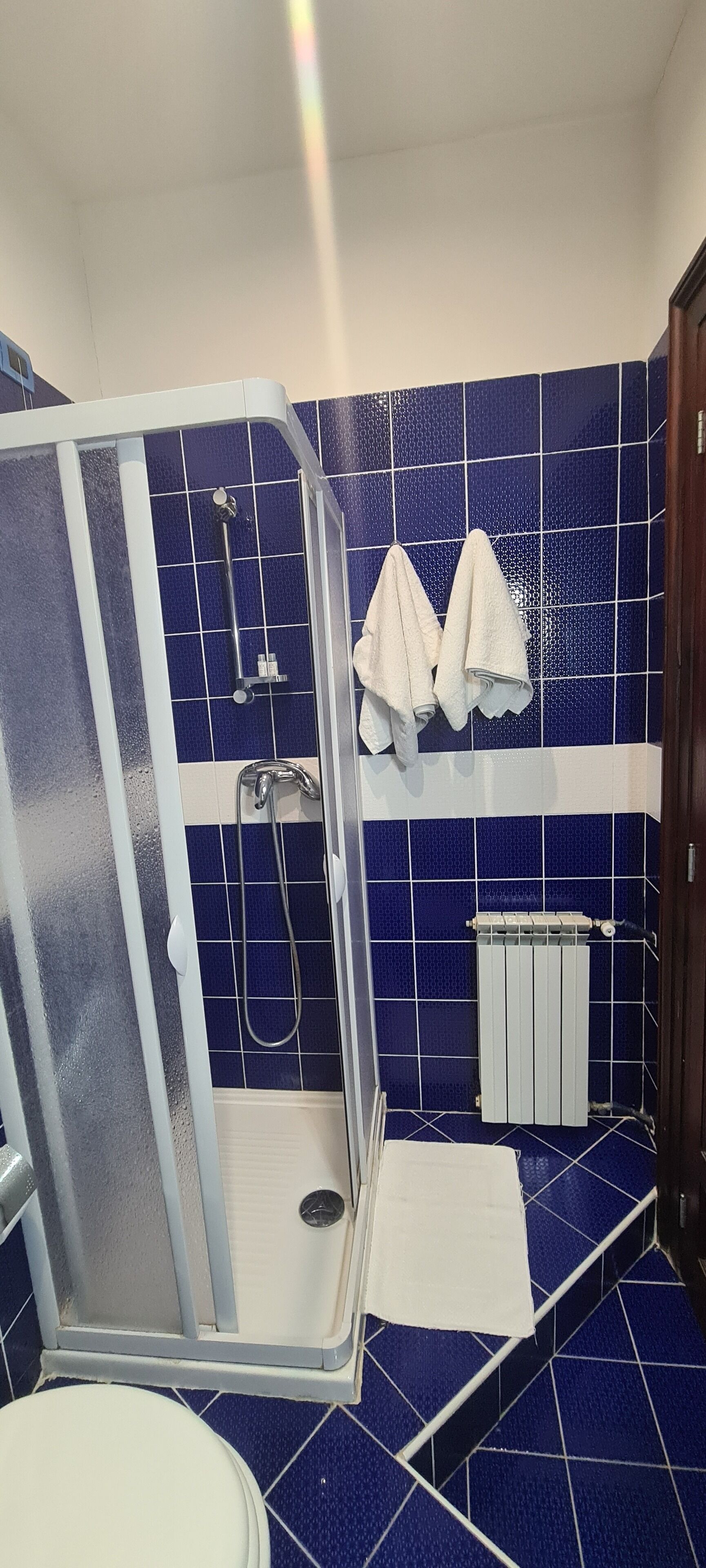 A bathroom with a shower enclosure, a toilet, and a towel rack with towels.