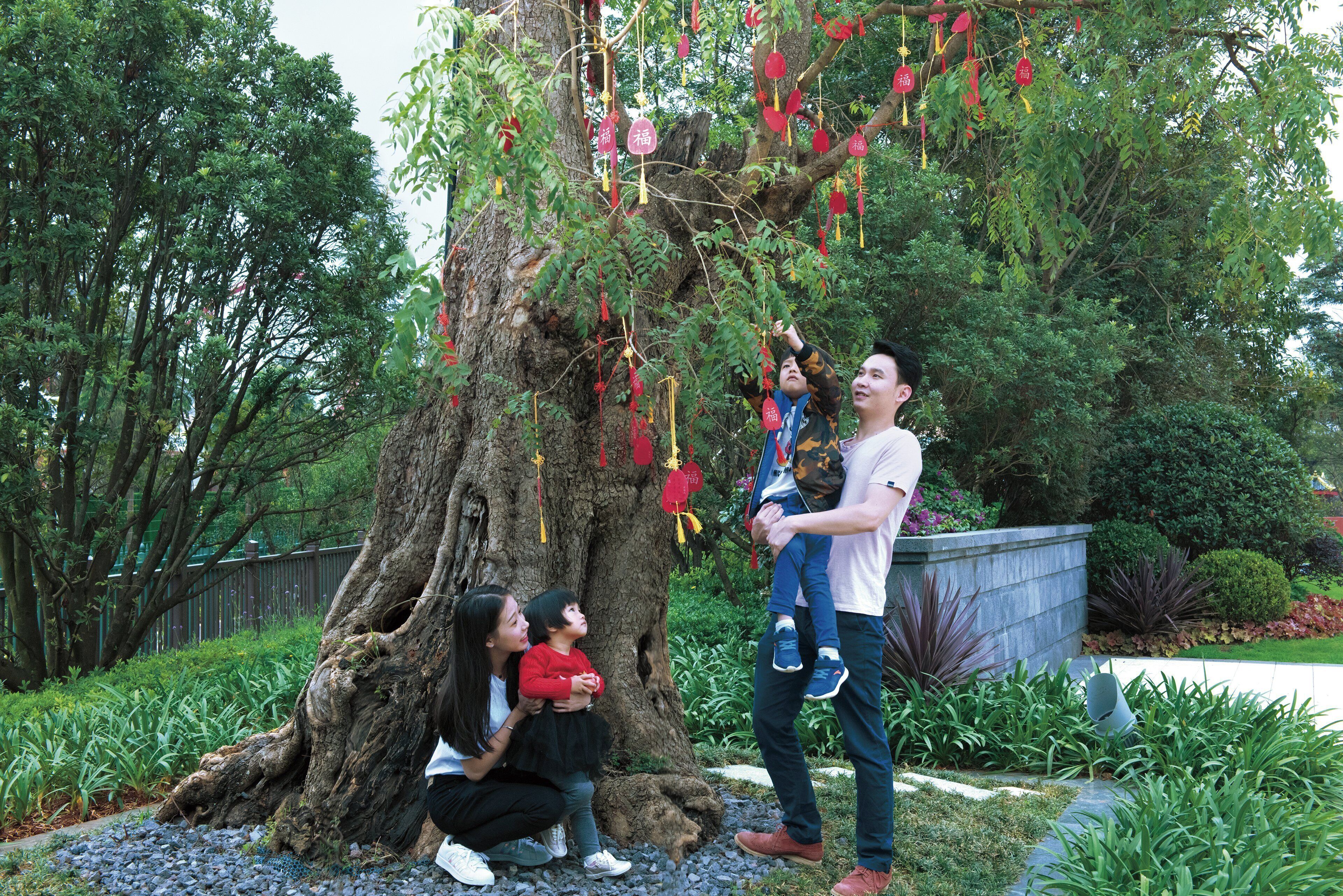 Un árbol con adornos colgantes, una persona sosteniendo a un niño, y un jardín con diversas plantas.
