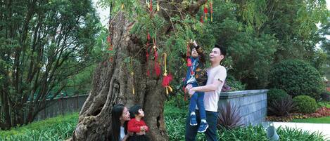 A tree with hanging decorations, a person holding a child, and a garden with various plants.