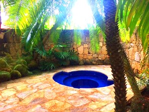 A stone pool surrounded by tropical foliage and a stone wall.