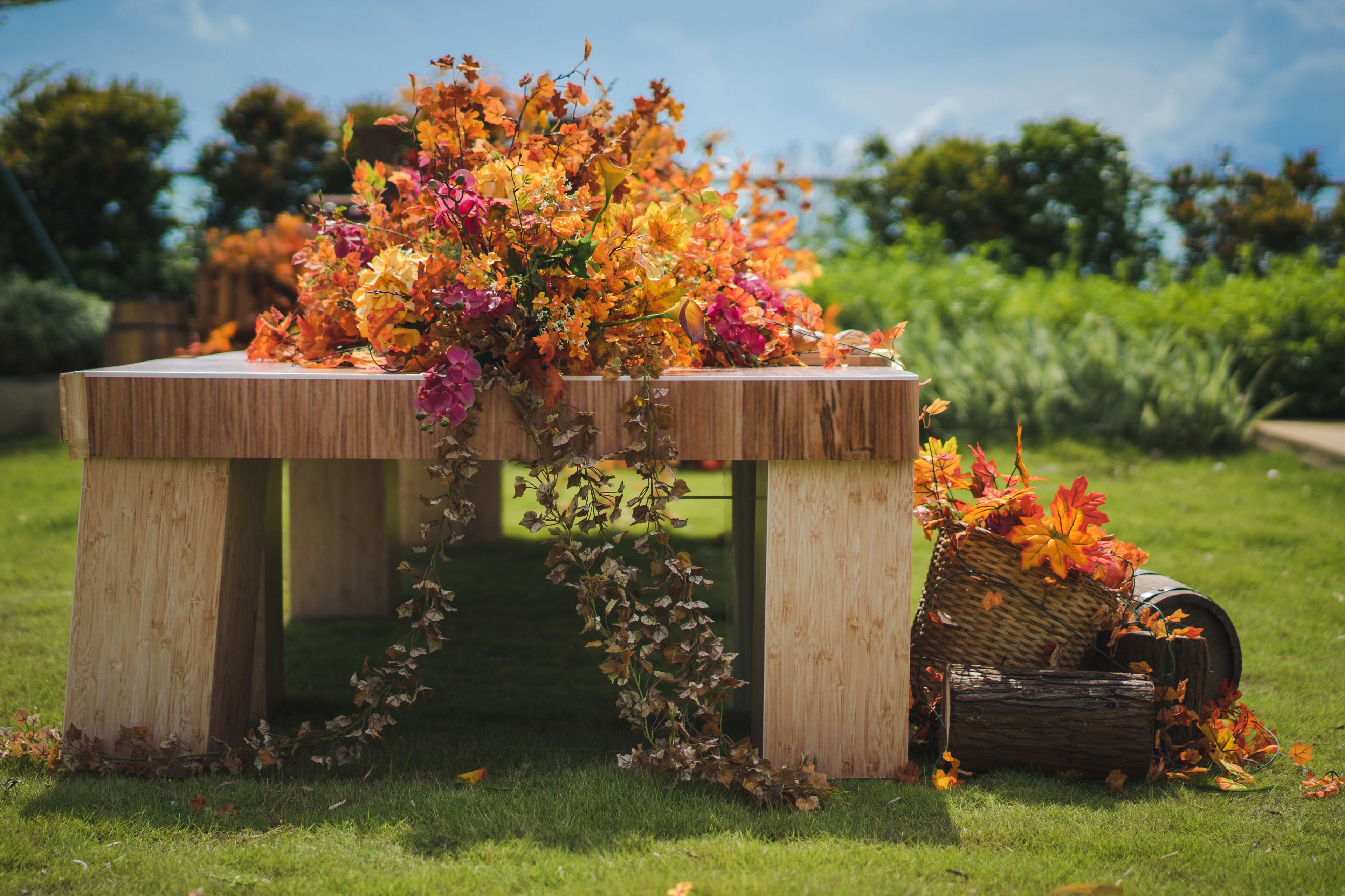 outdoor wedding area
