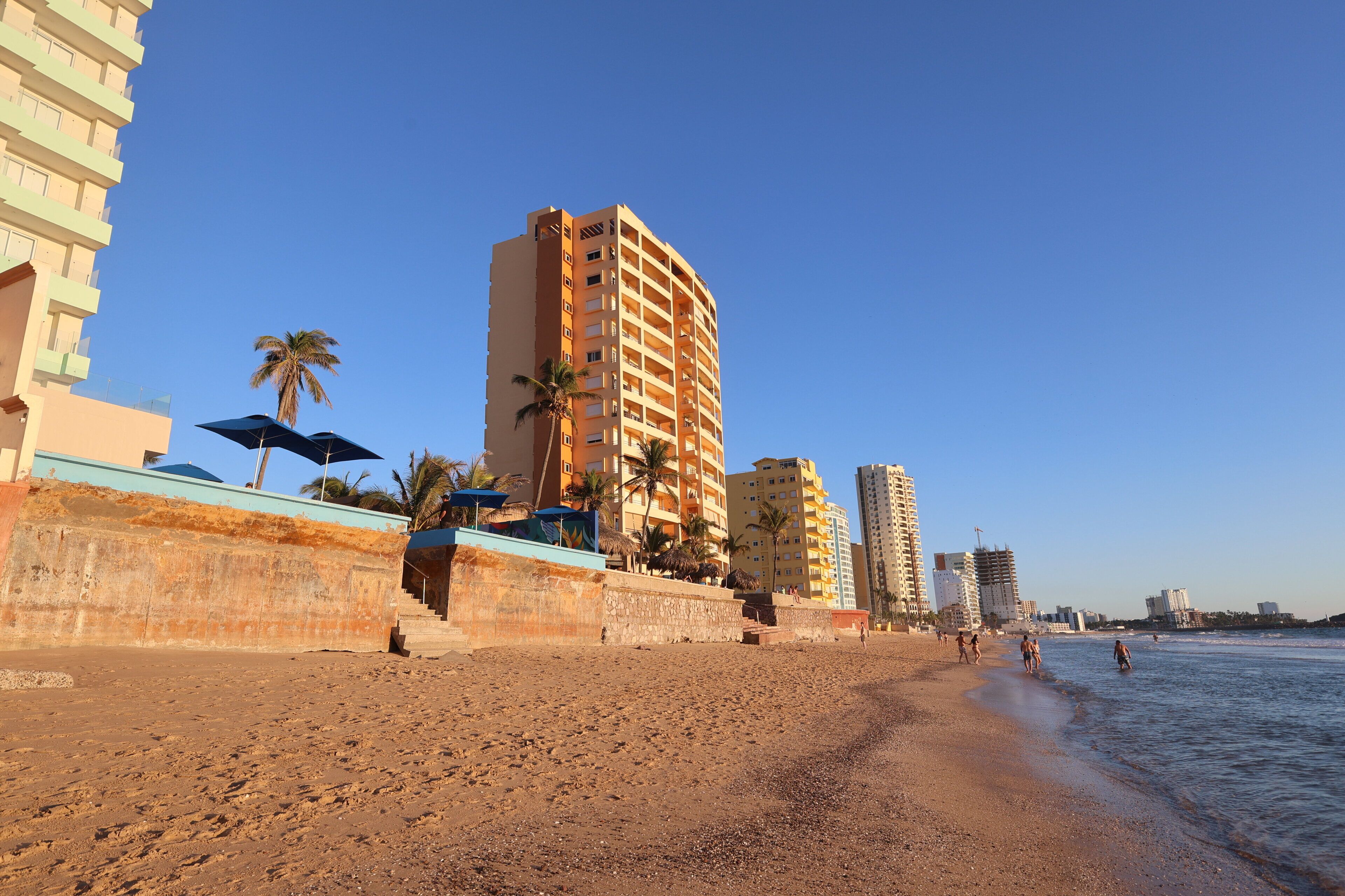 A beach with high-rise buildings, palm trees, and umbrellas.