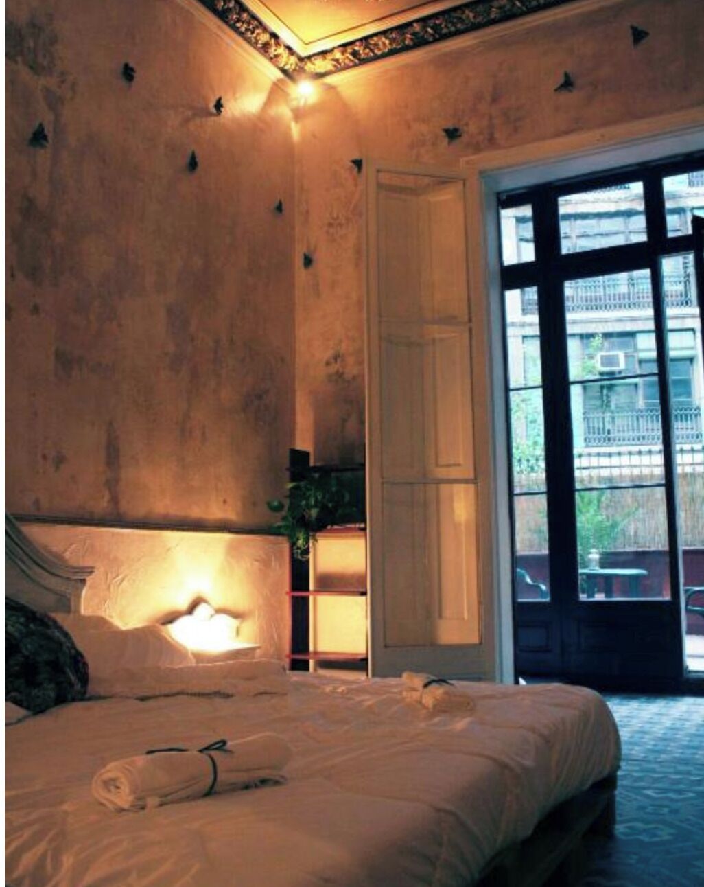 Suite, terras
