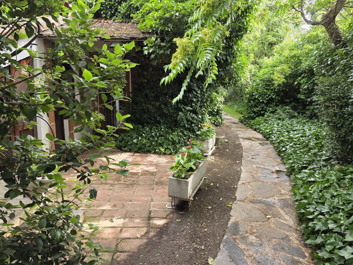 Un sendero de piedra serpentea por un jardín exuberante con un edificio pequeño y plantas en macetas.