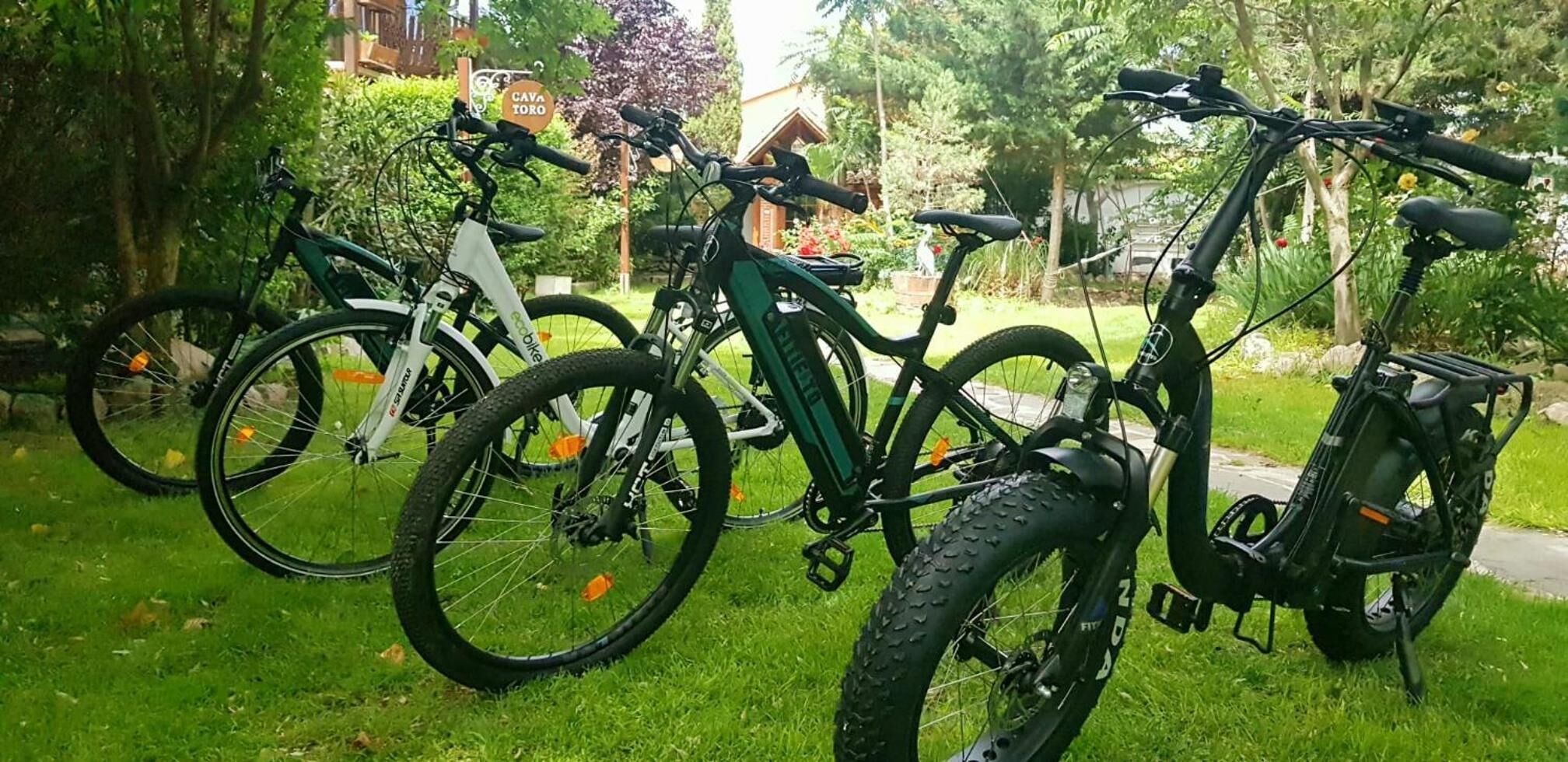 Une rangée de vélos est garée sur une pelouse, avec une maison en arrière-plan.