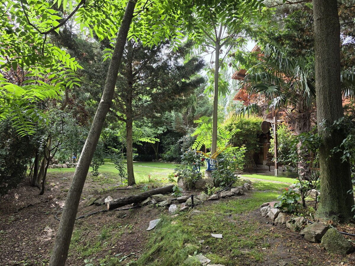 Un jardín con árboles, un sendero y un edificio al fondo.