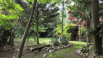 Un jardín con árboles, un sendero y un edificio al fondo.