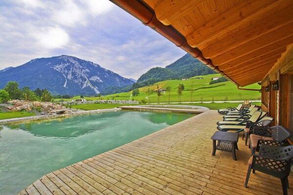 屋外プール、天然プール、サンラウンジャー