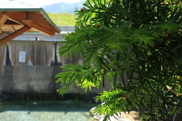 Hot springs