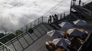 Terraza de madera con mobiliario exterior y sombrillas, con vistas a una zona boscosa y nubes abajo.