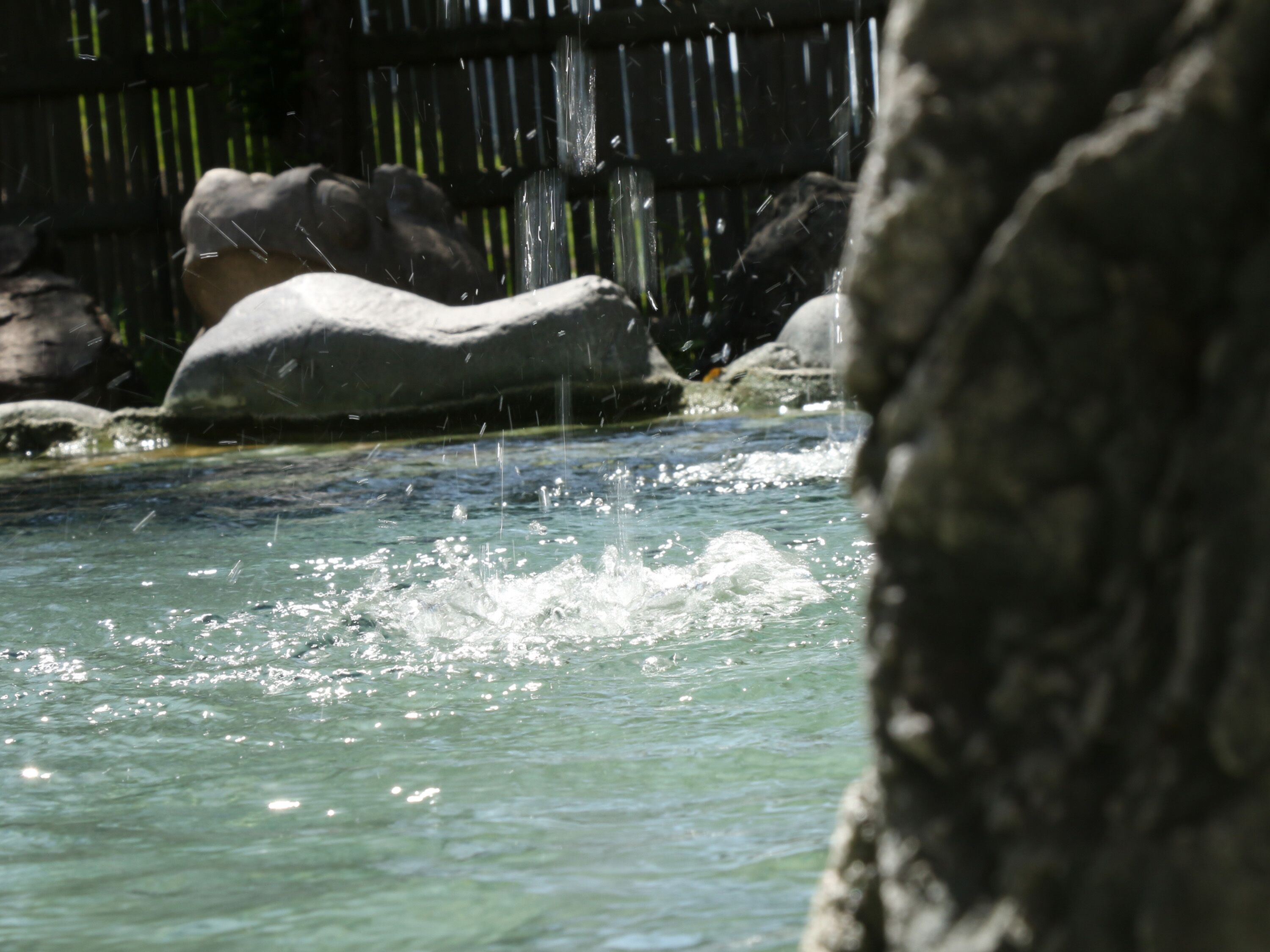 Una fuente de agua natural con rocas y una valla de madera al fondo.