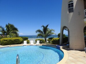 Una piscina con sillones de descanso, palmeras y vista al océano.