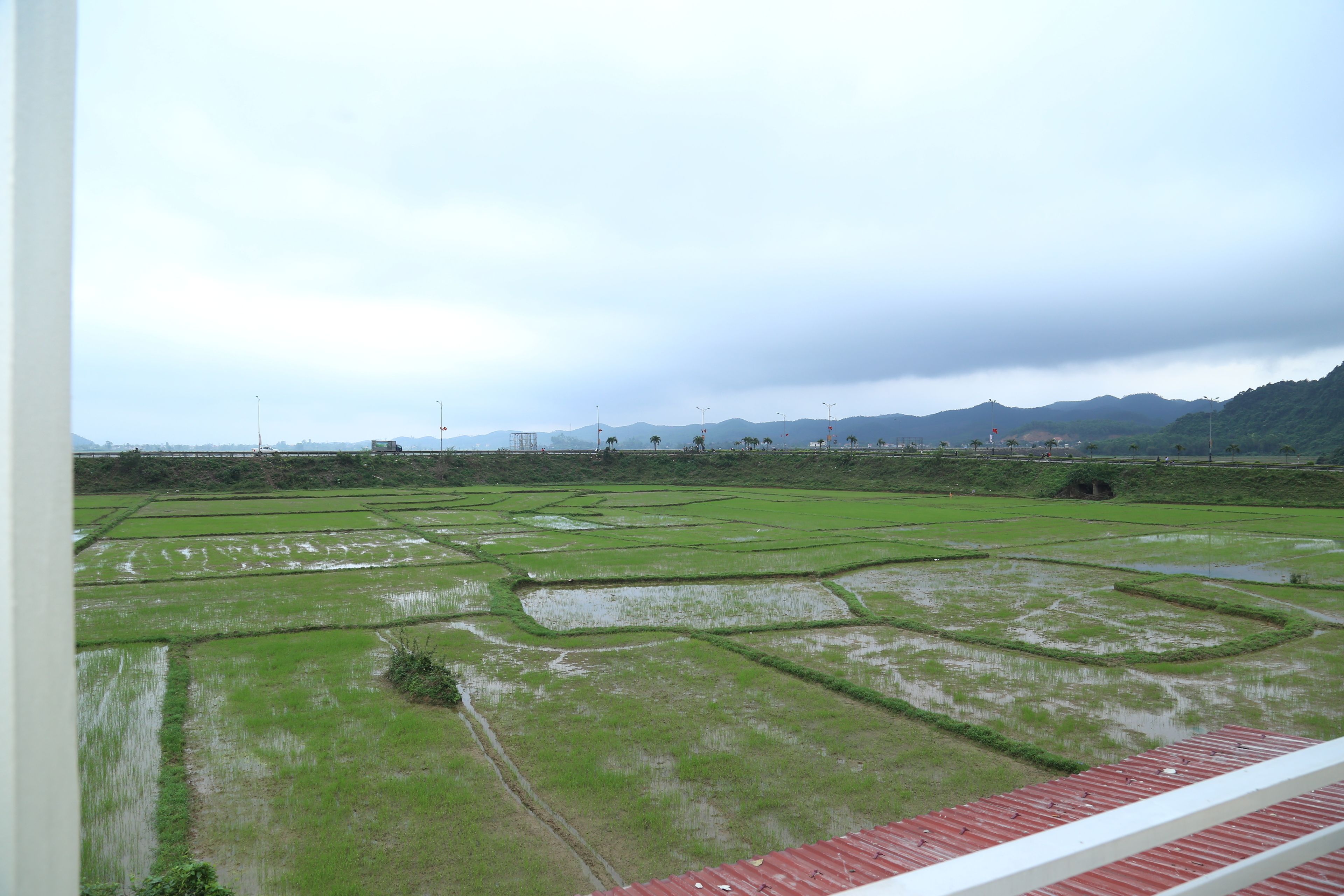 A view of green rice paddies with a distant mountain range and a cloudy sky.