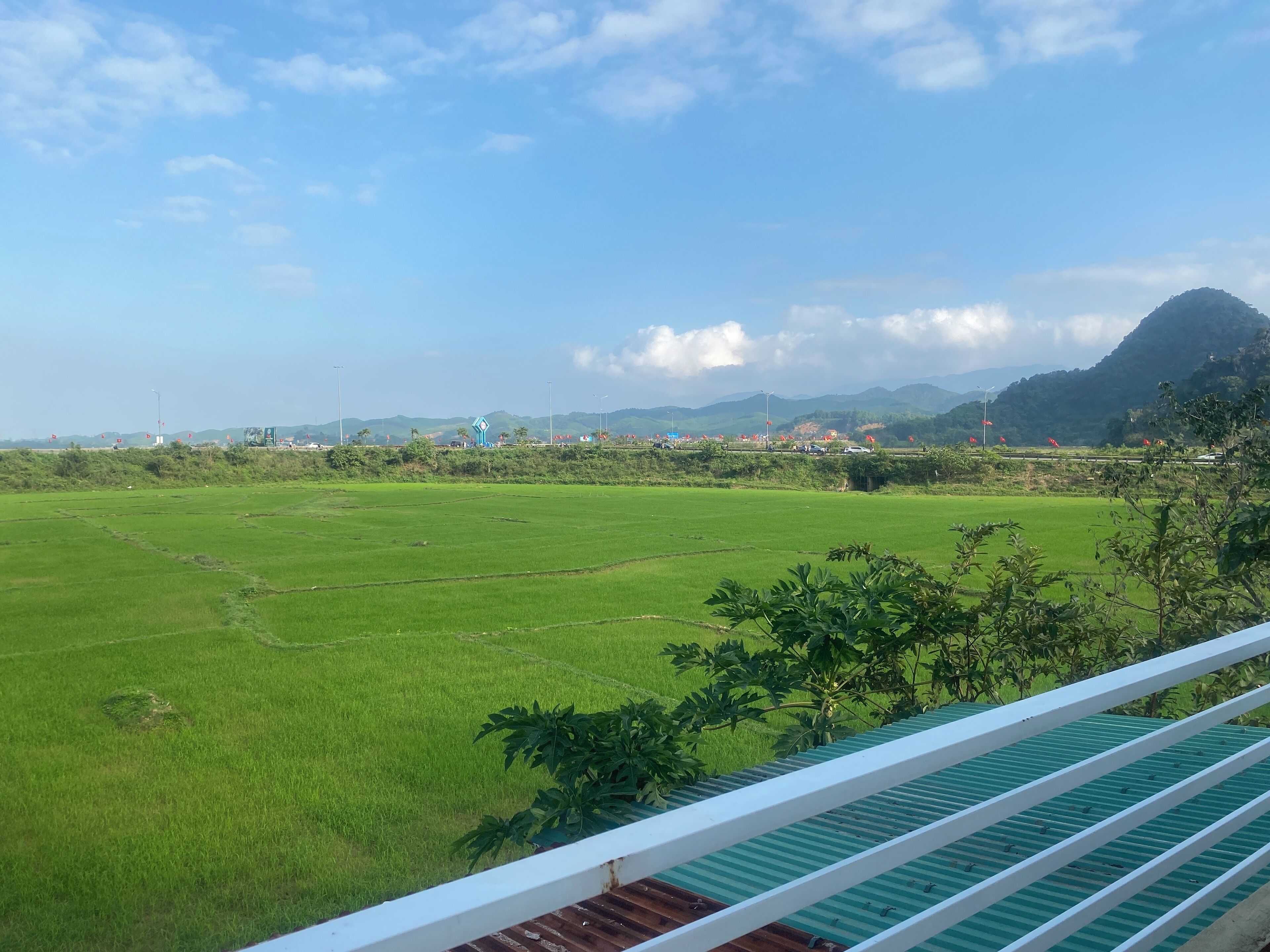 A view of a green field with a mountain in the background.