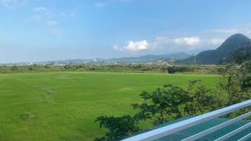 A view of a green field with a mountain in the background.