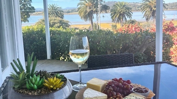 A table with a cheese platter, grapes, nuts, and a glass of white wine, overlooking a scenic view of a lake and palm trees.