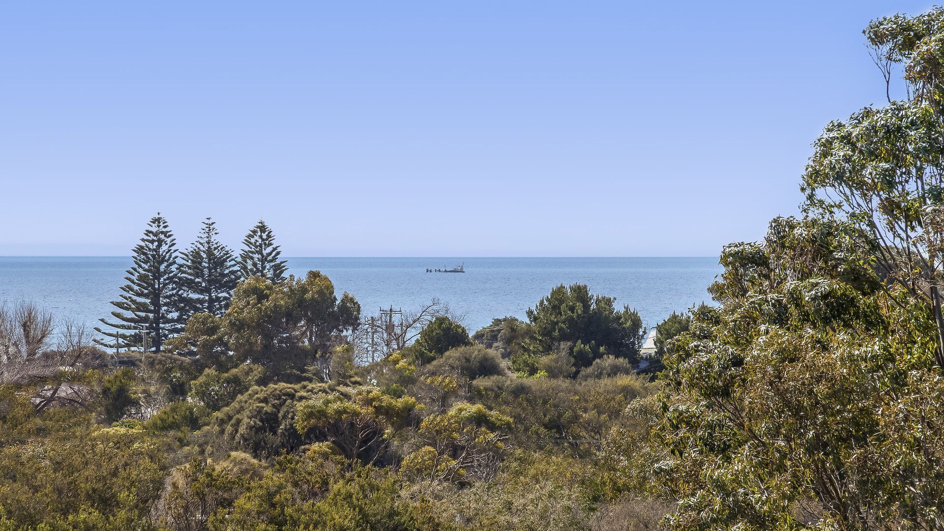 Un paysage côtier caractérisé par une végétation luxuriante et une vue dégagée sur la mer.