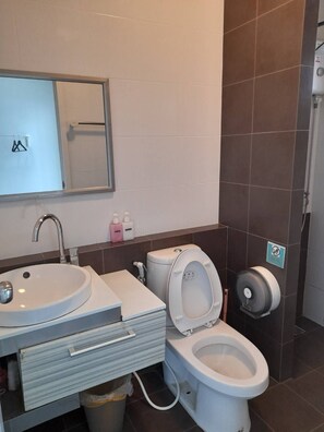 A modern bathroom with a sink, toilet, and mirror.