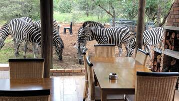 Free daily English breakfast