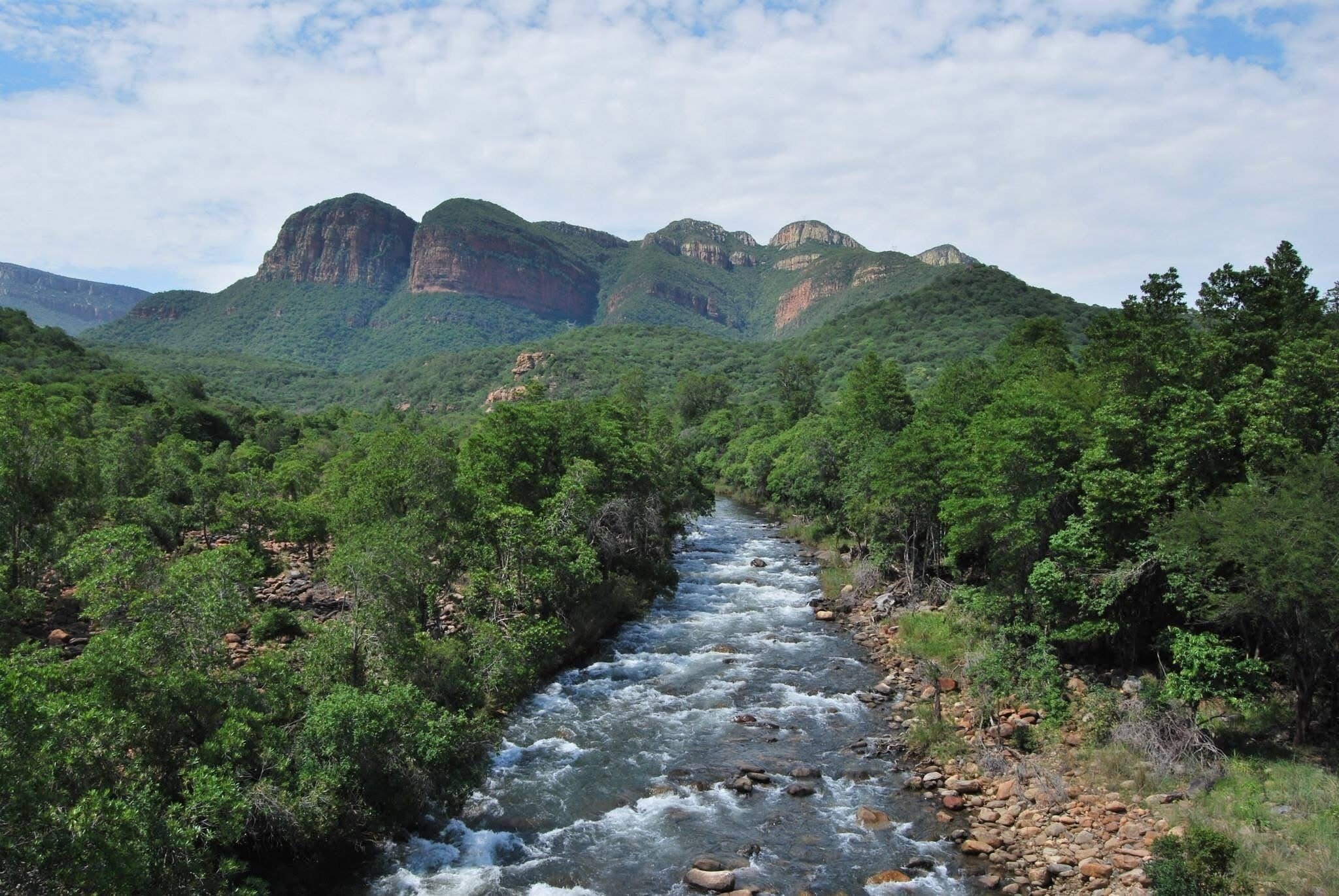 A river flowing through a forested valley with mountains in the background.