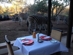 Free daily English breakfast  - Imbube Safari Lodge (Nkomazi)
