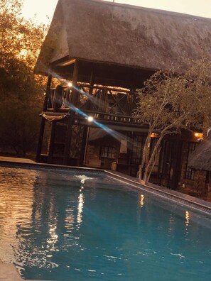 Outdoor pool, pool umbrellas, pool loungers - Imbube Safari Lodge (Nkomazi)