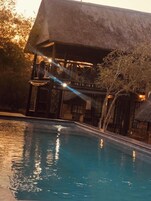 Outdoor pool, pool umbrellas, sun loungers