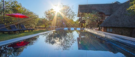 Una piscina al aire libre, sombrillas, sillones reclinables de piscina