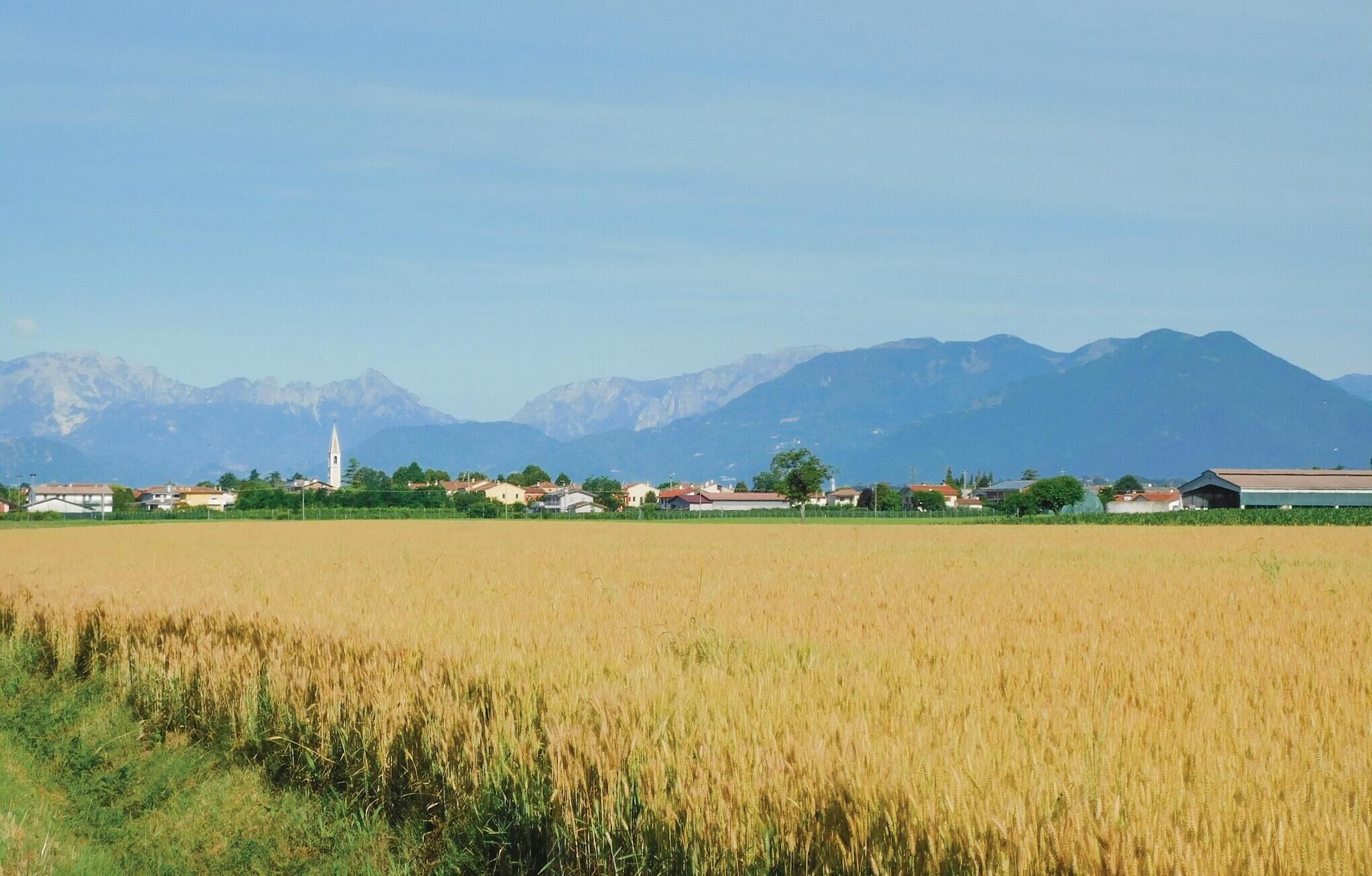 Paisaje rural con un campo de trigo, una iglesia y montañas al fondo.