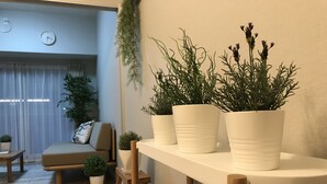 Una sala de estar con un sofá, una mesa de centro y una silla de madera. Hay tres macetas con plantas en una estantería.