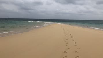 On the beach, white sand, beach shuttle