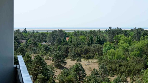 A balcony with a view of a forested area and a distant beach. - Apartment 91 Against the wind (ID 012) (Sankt Peter-Ording)